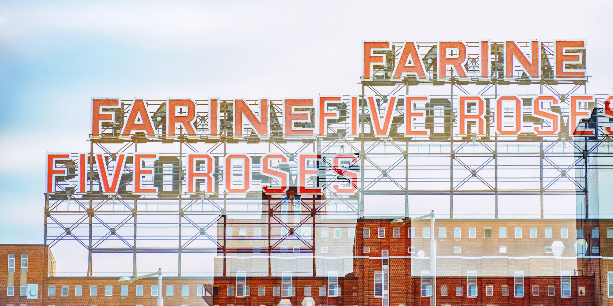 FARINE FIVE ROSES