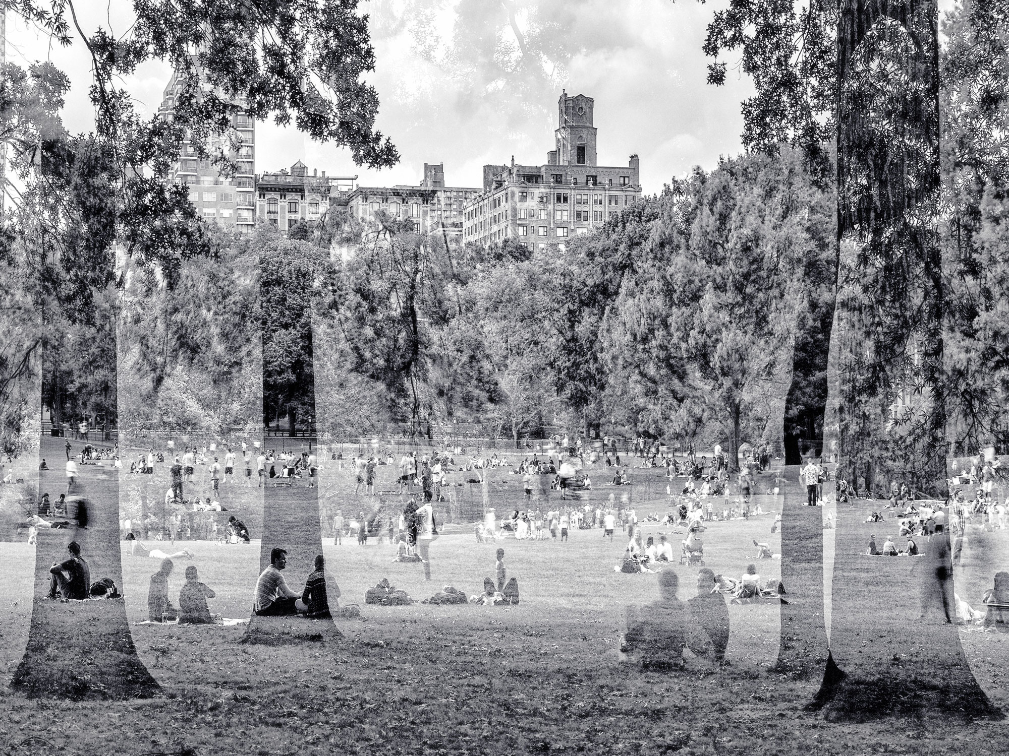 DÉJEUNER SUR L’HERBE