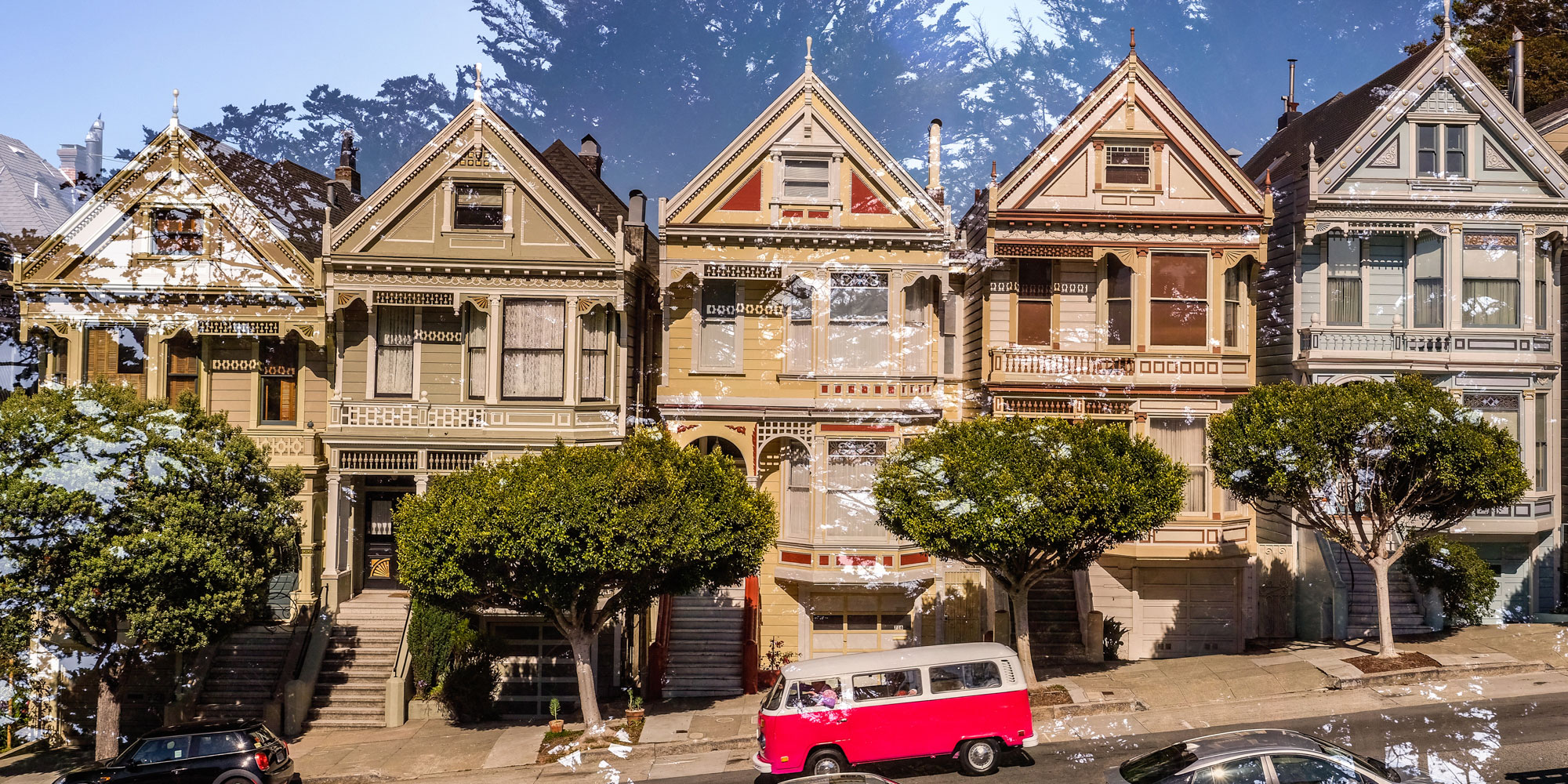 PAINTED LADIES