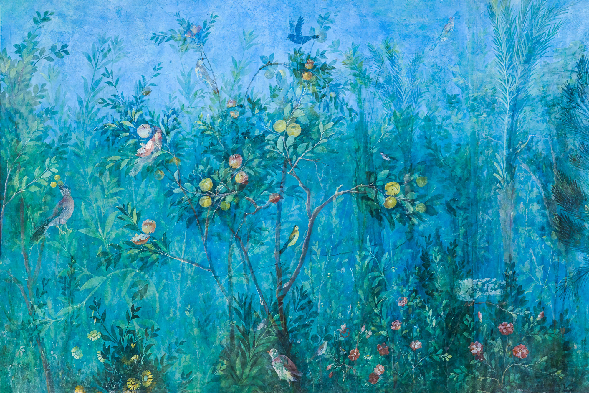INFINITE_GARDEN